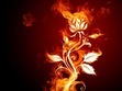 Hell's Fire