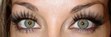 Hypnotize