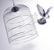 Caged Bird