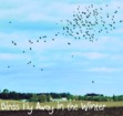 Birds fly away in the winter