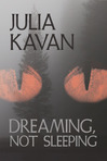 Dreaming, Not Sleeping - Excerpt