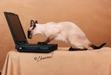 The Rights of Reviewers