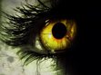 Till The Very End Book One: Hunter, Slayer, Lover(A/H)