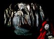 IN A DARK WOOD