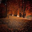 Otoño en cautiverio