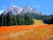 The Field Of Heaven