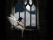 Search Angel