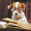 Henry & Biggs: Adventure Blog of a Literary Agent and his Beagle
