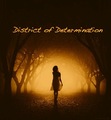 District of Determination