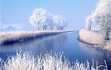 Bloody Snow
