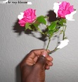 the rosy blossom...