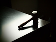 The Witness