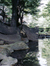 Samara