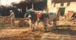 Naeem Naeem