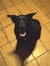 Abby