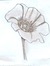 Hollyhocks