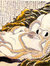 Ottoleo