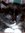 Animlgrl