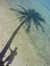 Chaz