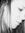 Ashley