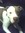 Donna Rae | 14 comments