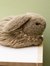 Raiveran Rabbit