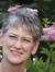 Rodzina by Karen Cushman (paperback, 2003) Rodzina by Karen Cushman (paperback, 2003)