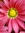Christina (AKA Babbling) (BabblingBookReviews) | 154 comments