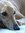 Fiona (FionaM) | 5 comments