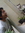 Adiprasatya | 23 comments