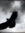 stormhawk | 539 comments