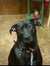 Tabitha