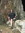 Faith Bevitz