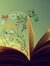 Butterflypages