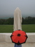 Gabriele Wills