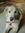 Morgan P | 173 comments