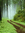 Susan C (somersetpurplegmailcom) | 122 comments