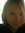 Sherry Dale Rogers (sherrydrogers) | 32 comments