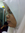 Xara_fatima | 255 comments