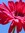 Sharon Oslin | 125 comments