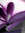 Desiree | 17 comments