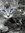 Silverblaze | 57 comments