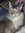 Francine | 2 comments