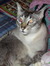 Francine