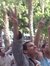 Emad-eldin Elsayed