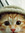 Eric | 382 comments