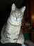 Emaline
