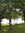 Nannie Bittinger | 6 comments
