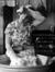 Shelley