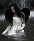 *~*The Death Fairy Luna*~* *~*The Death Fairy Luna*~*